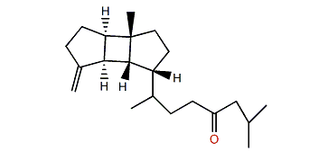 Lobophytumin F